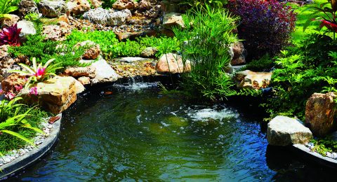 Garden Water Features | Garden Lighting & Ponds - AQUAPRO