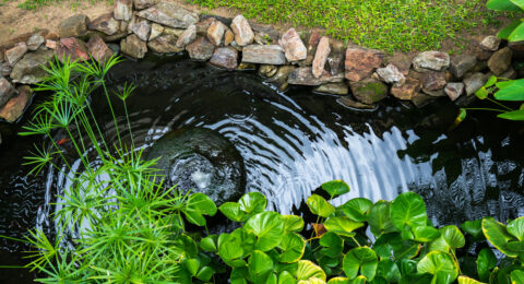 Advantages of Submersible Garden Pond Pumps